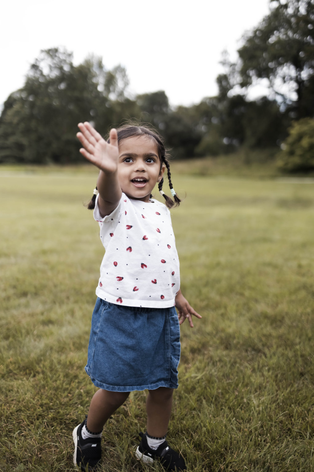 KCA UK Annual Picnic 2025