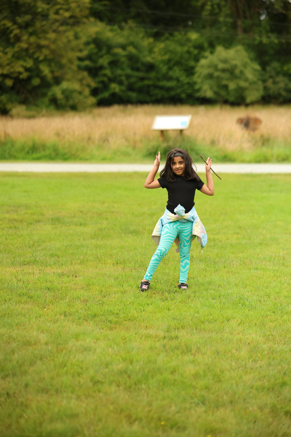 KCA UK Annual Picnic 2025