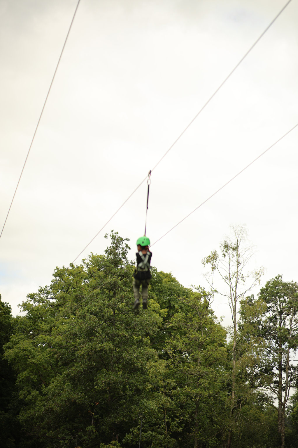 KCA UK Annual Picnic 2025